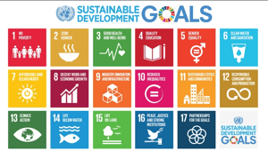 sustainable development goals